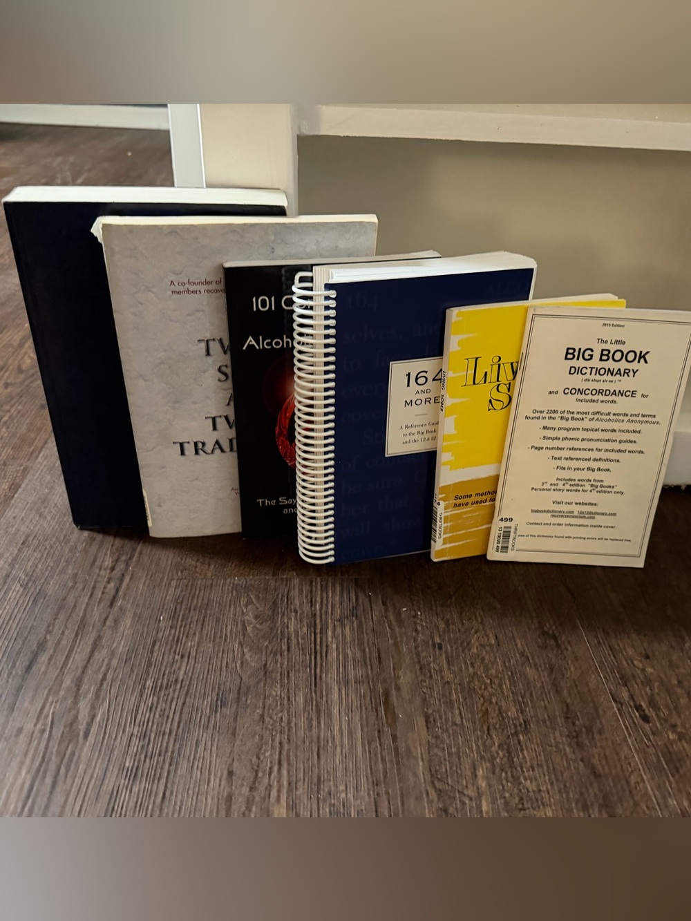 RARE FIND: Alcoholics Anonymous 6 Book Bundle ft. 164 & More - A Reference Guide